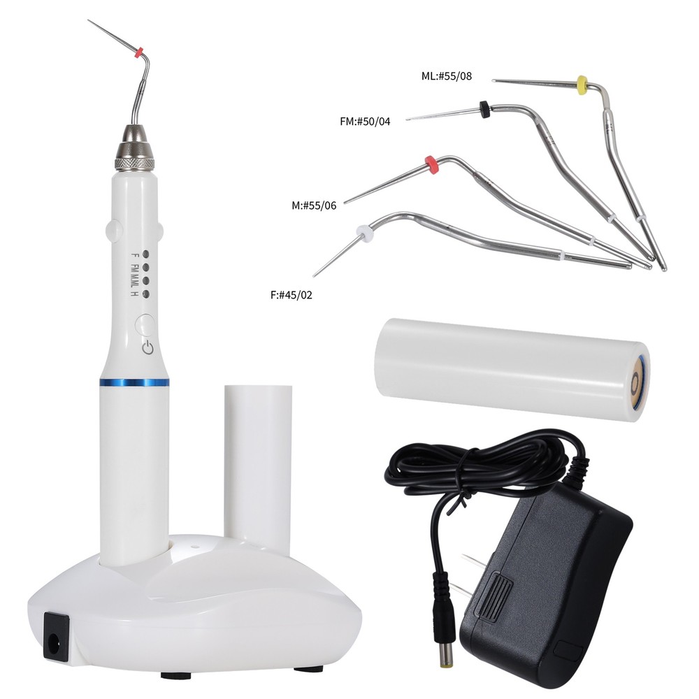 Dental 2S Heating Gutta Percha Obturation Pen Double Charging 4 Endo Tips USPS