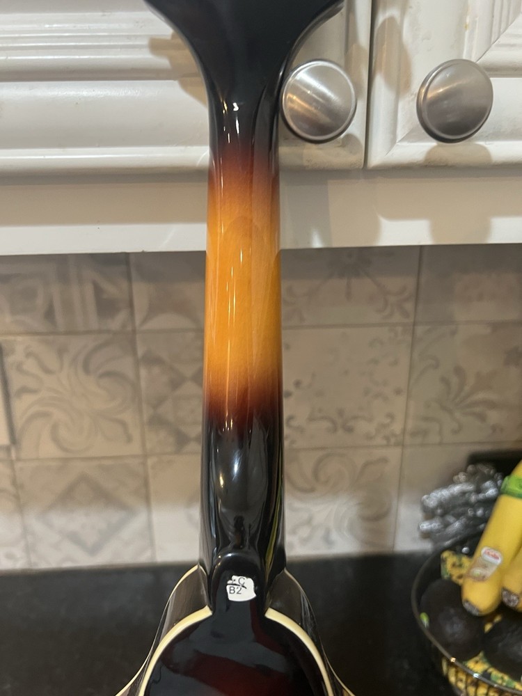 Rogue fine instuments Mandolin