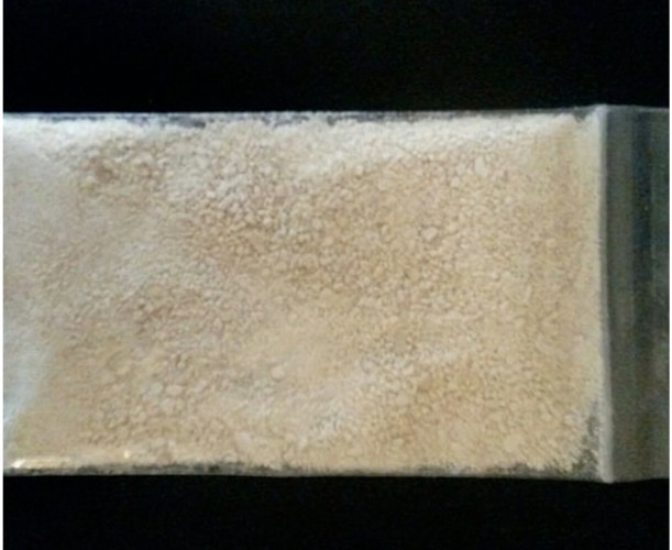 DEHYDRATED Sourdough Starter SAN FRANCISCO - 15 Gram Bag