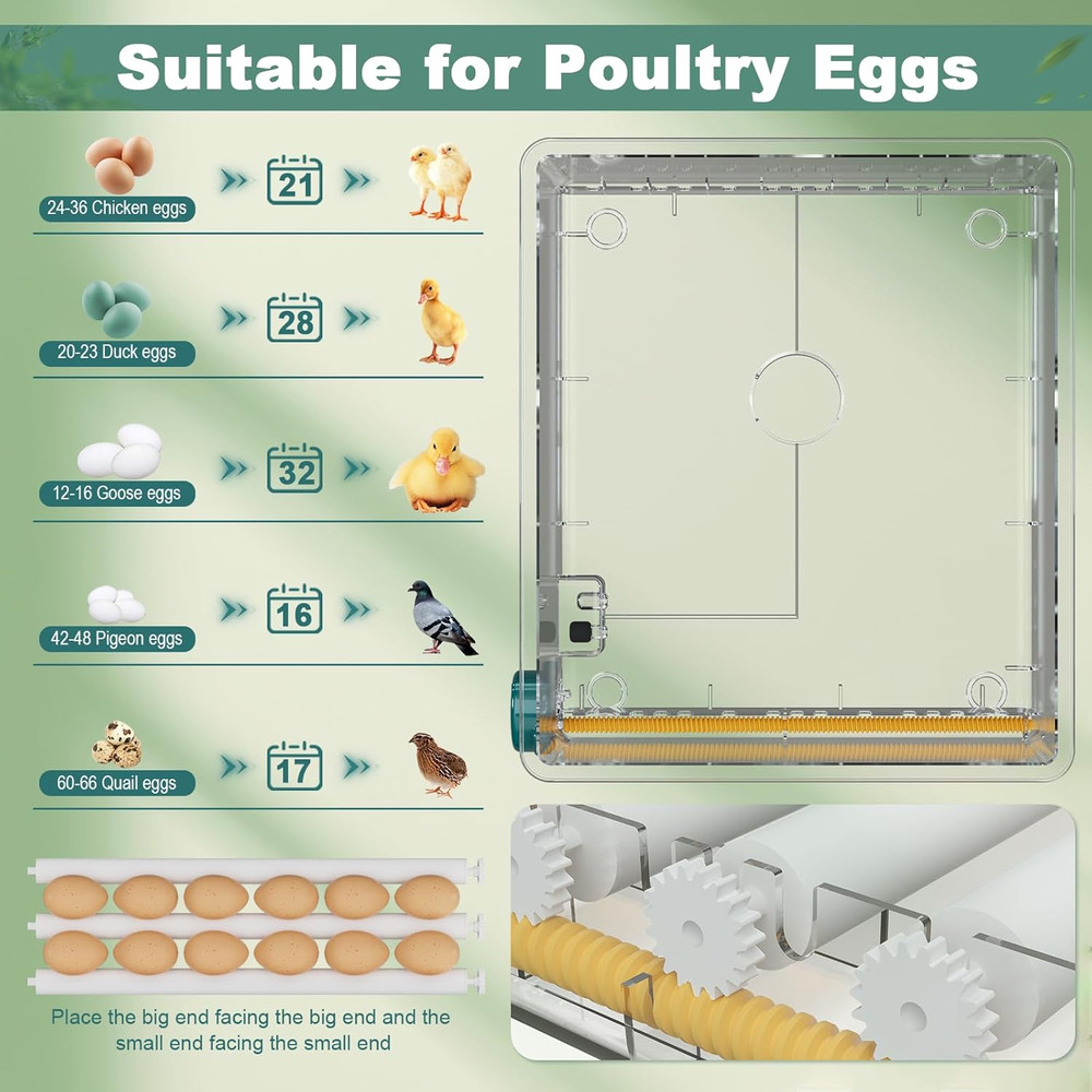 36-Egg Automatic Incubator with Humidity Control and Egg Turning Features