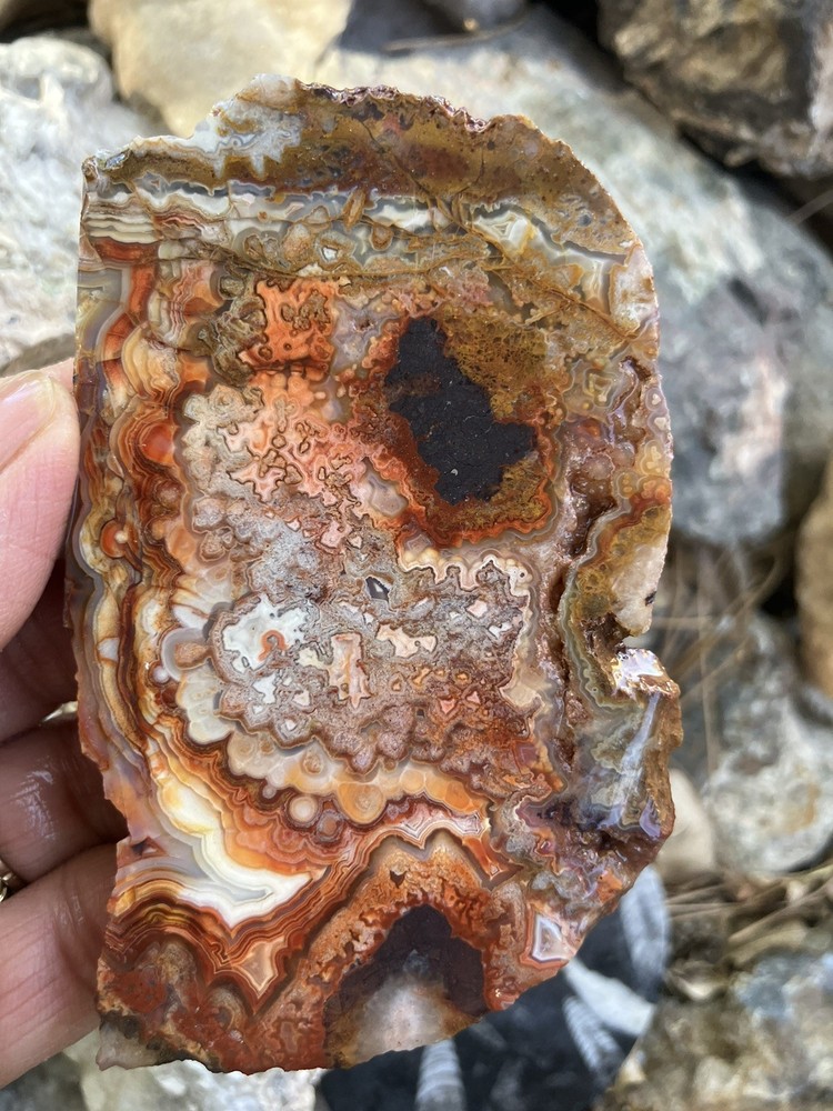 Crazy Lace Agate Slab