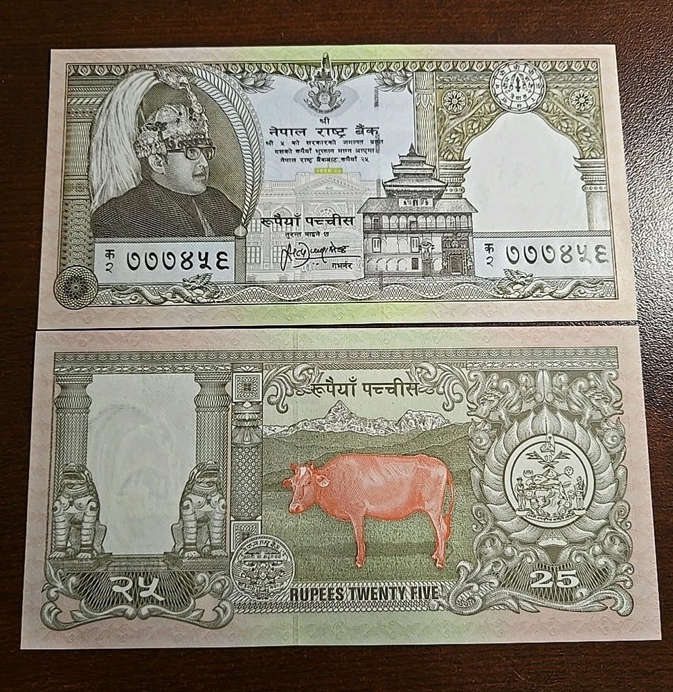 Nepal 25 Rupees ND 1997 P 41 NEW UNC Banknote