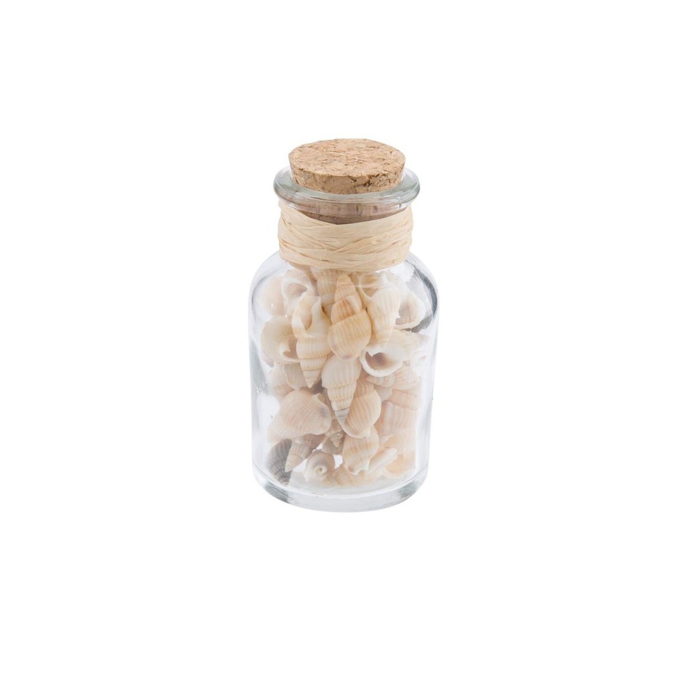 Beachcombers Bottle w/Natural Shells