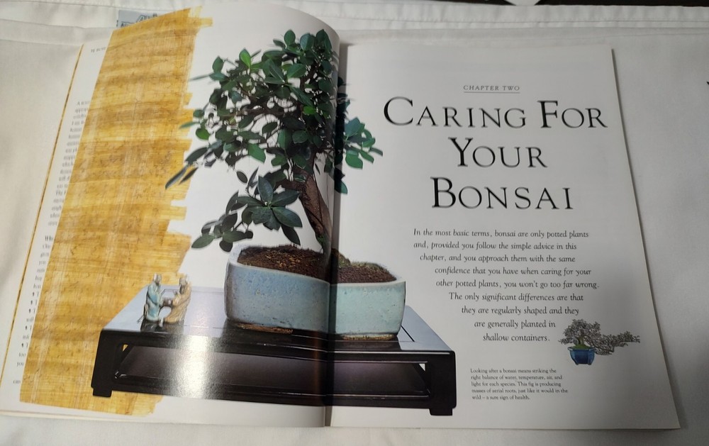 BONSAI SURVIVAL GUIDE by Colin Lewis