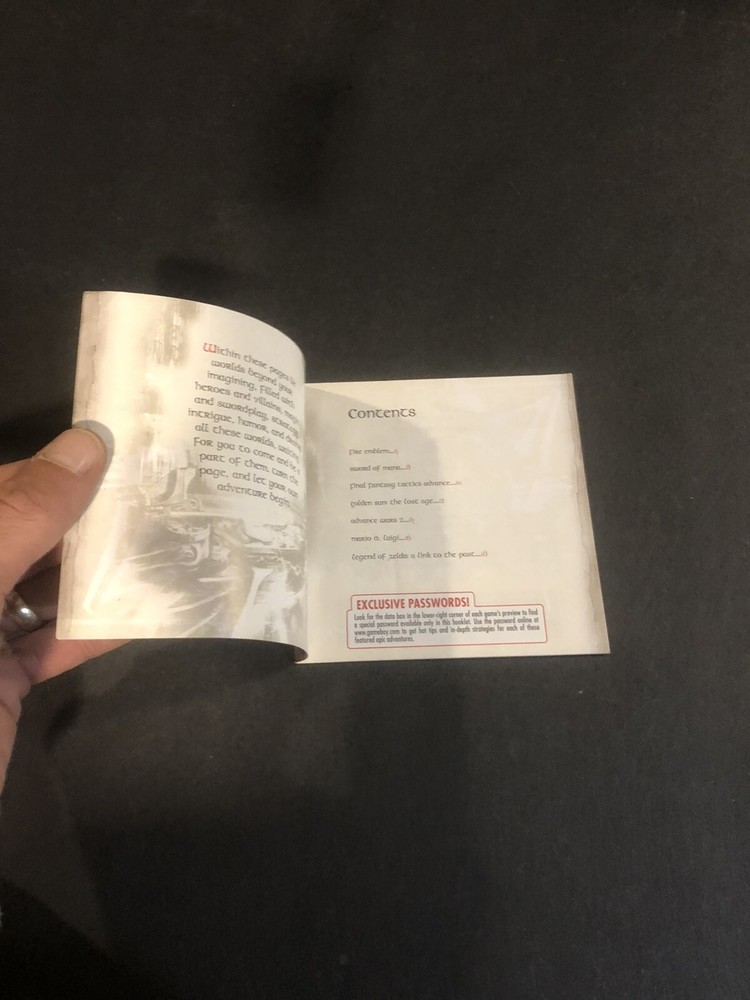 Nintendo gameboy advance journey is the beginning Insert