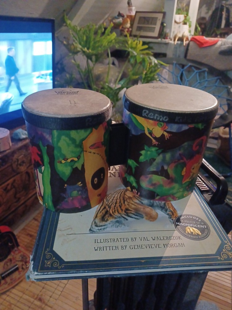 Remo Kid's Percussion Rain Forest Bongos