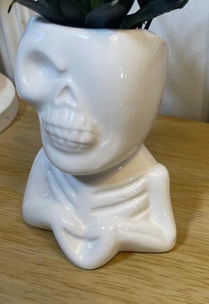 Skull Theme Planter With Artificial Succulents House Decoration Pre-Owned