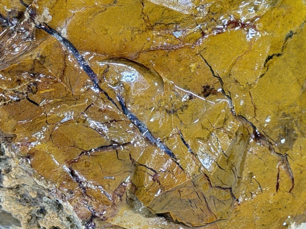 Beautiful Brecciated Jasper Rough, Lot #283