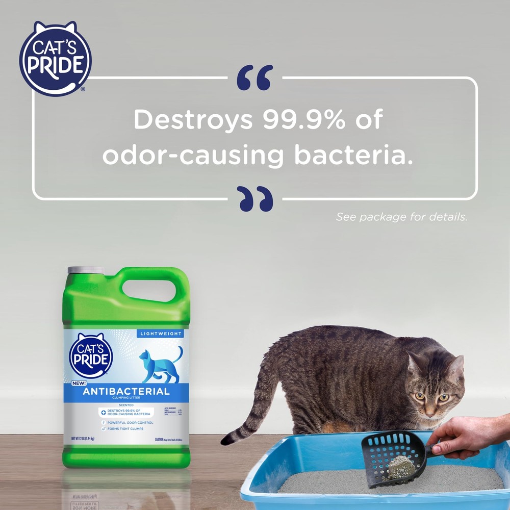 Antibacterial Cat Litter Clumping Lightweight Powerful Odor Control 12 Lbs