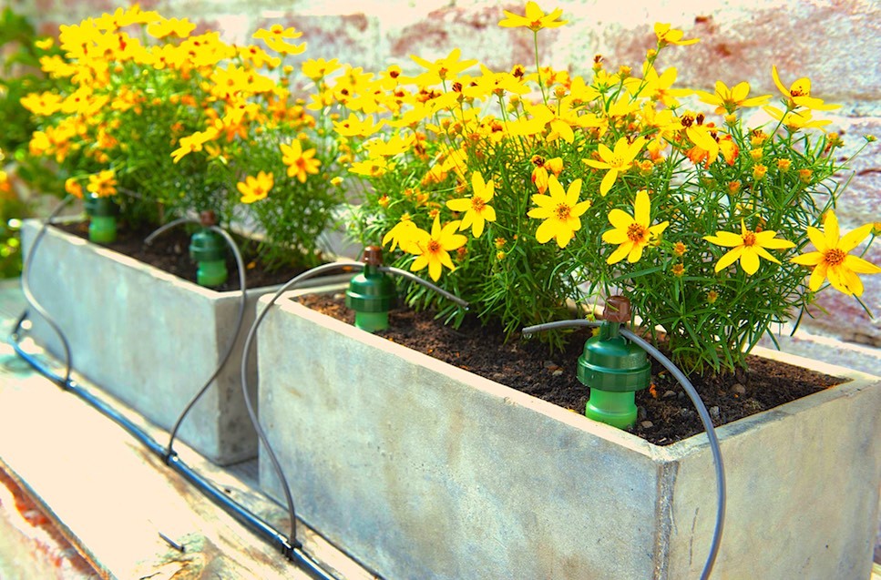 Blumat Medium Deluxe Gravity Kit - Automatic Irrigation for Up to 12 Plants