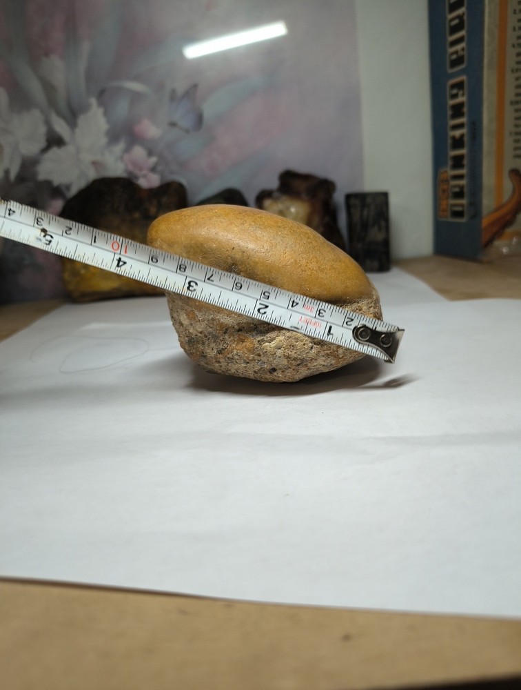 Egg Fossil possibly??? makes an interesting display piece
