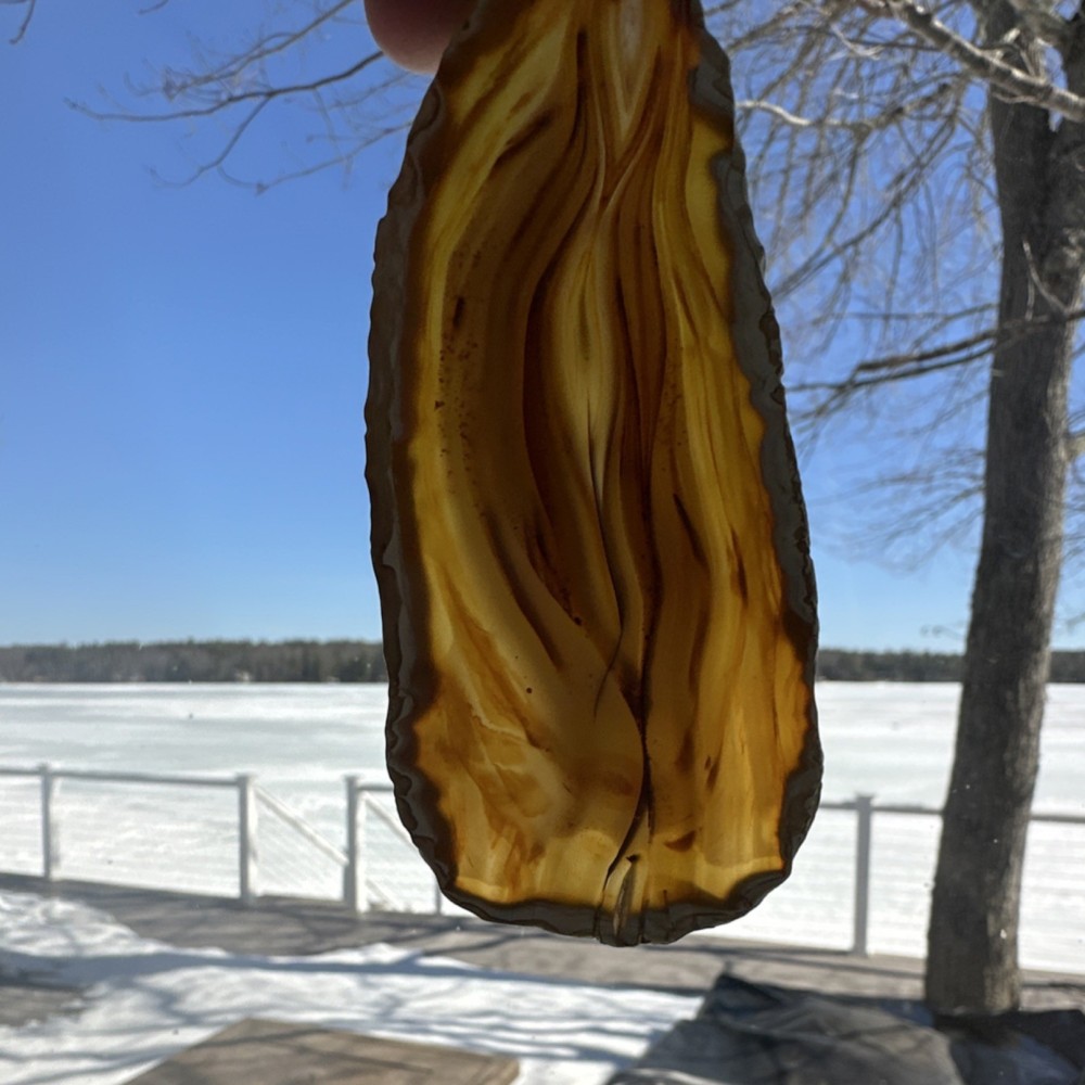 Banded Agate Pair Brown Polished Slabs
