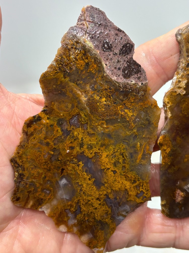 Mexican Cathedral Agate Slabs Cabbing Lapidary Combo Ship Avail