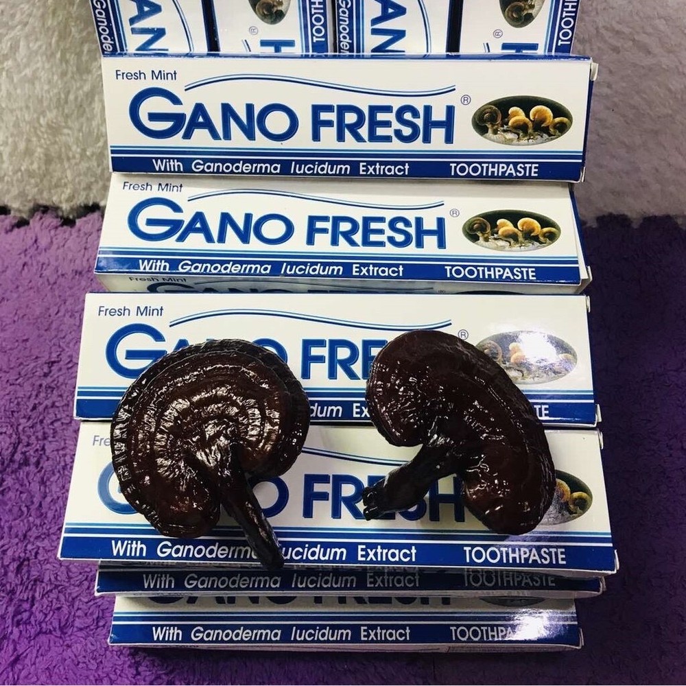 4 Boxes x 150g GANO EXCEL GANO FRESH TOOTHPASTE GANODERMA Free Shipping