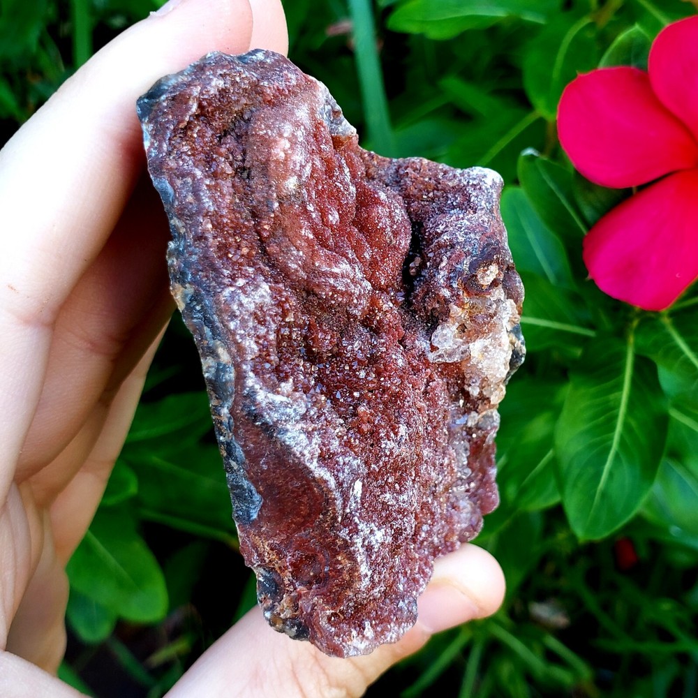 Fossilized Agate shell Cluster druzy natural crystal healing gemstone - #3