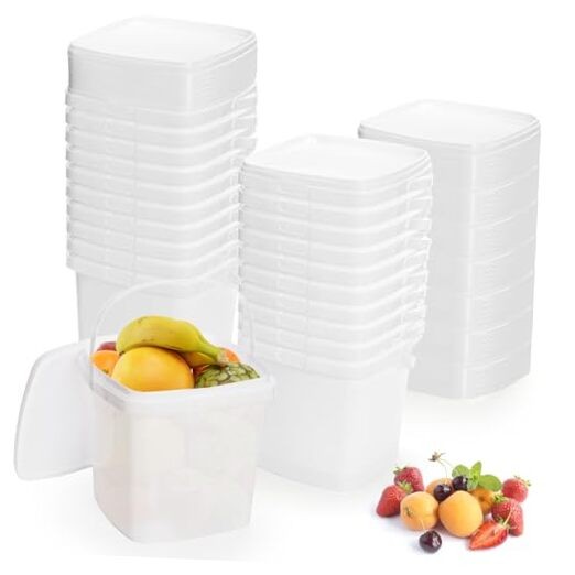20 Pack Plastic Bucket with Lid, 68 OZ Ice Cream Container with Handle, White
