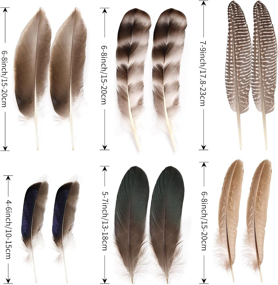 MehelloFeather Natural Pheasant Feathers 12Pcs Bulk 6 Style ZH-02