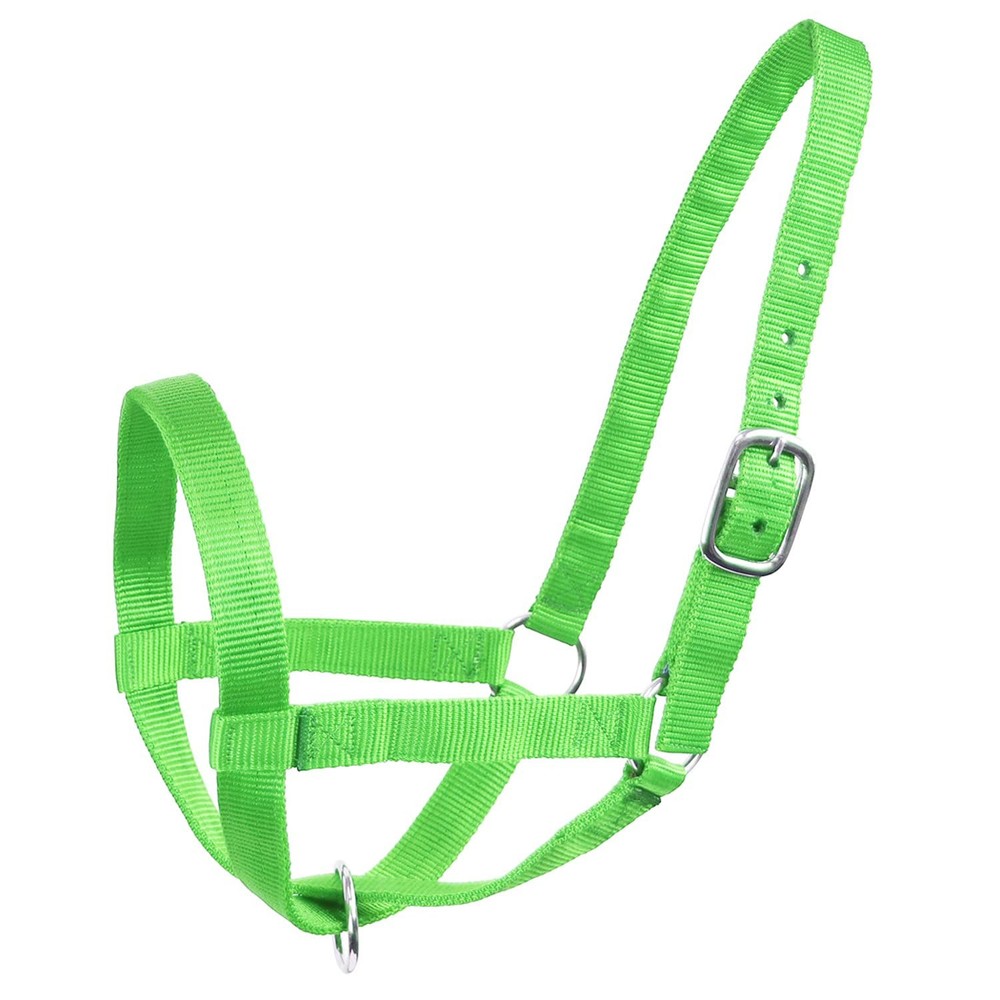 Medium Lime Green Nylon Cattle Halter Adjustable Durable Fit For All Breeds