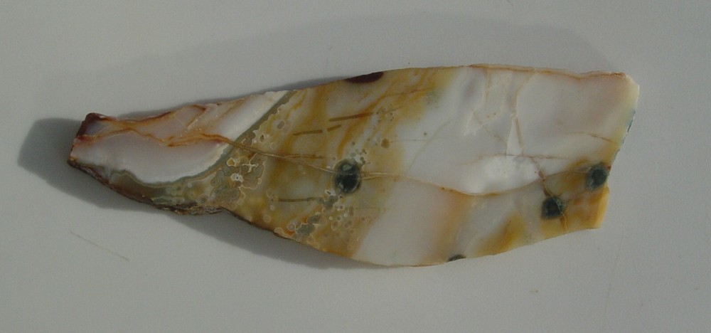 Ocean Jasper Lapidary Slab T936
