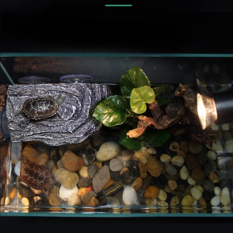 Floating Resting Terrace Turtle Basking Platform Suction Cups Terrapins