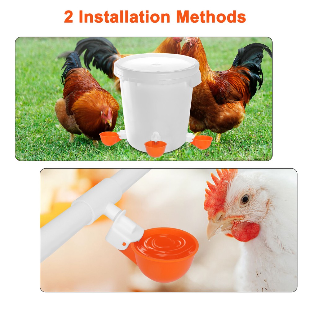 5 PCS Automatic Water Cups Poultry Drinker Waterer Chicken Ducks Quail Drinking