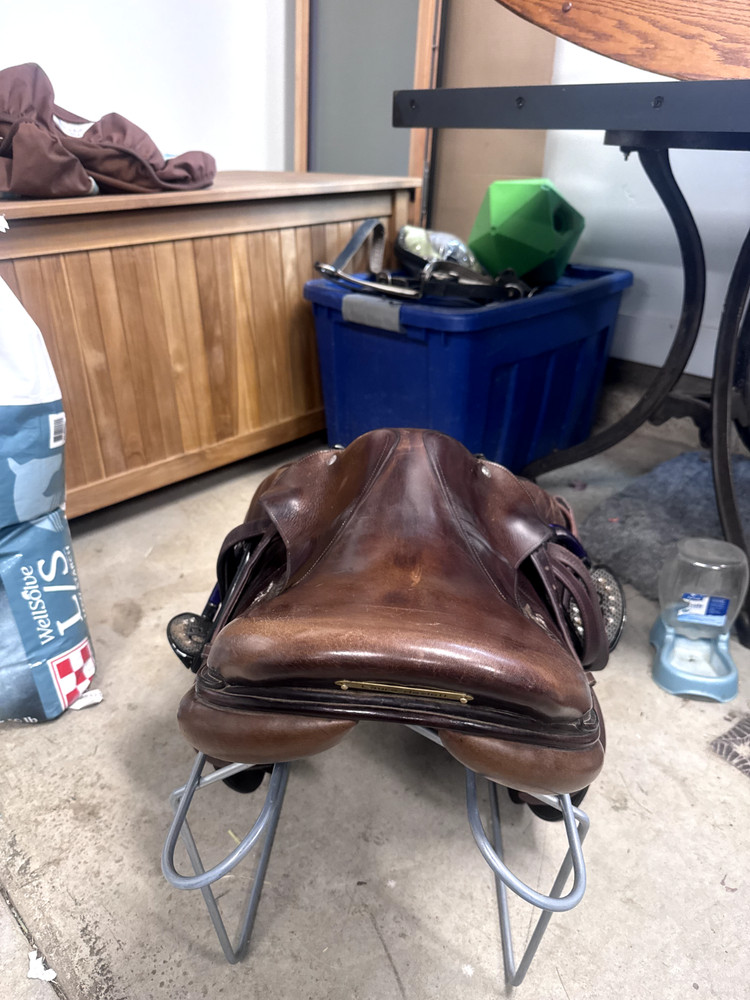 Voltaire 2017 Blue Wing 18" Saddle, Full Buffalo Leather