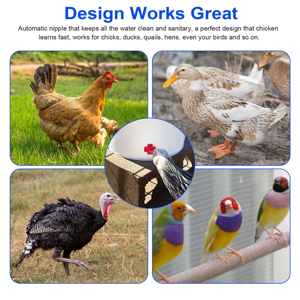 20Pcs Poultry Water Nipples Drinker Chicken Hen Quail Automatic Drinking Device