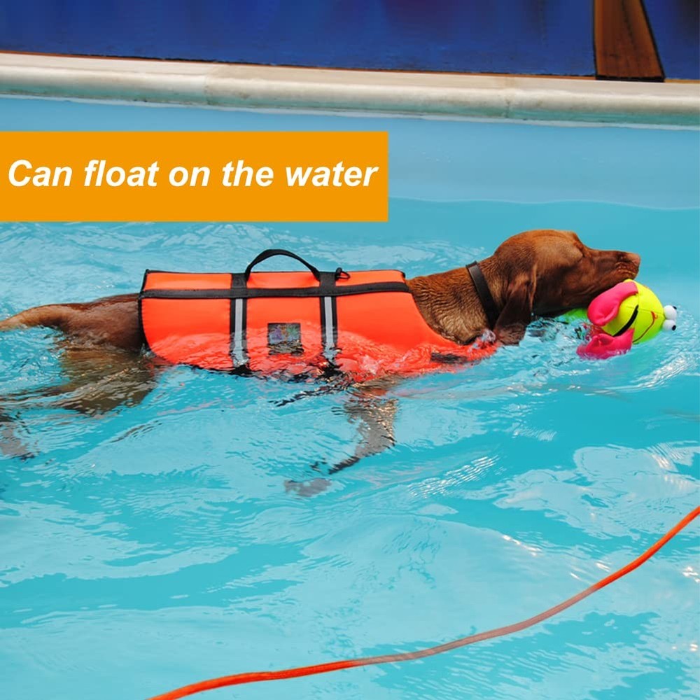 Floating Long Dog Leash, 32FT Long Leash for Dog Training, Lightweight Check ...