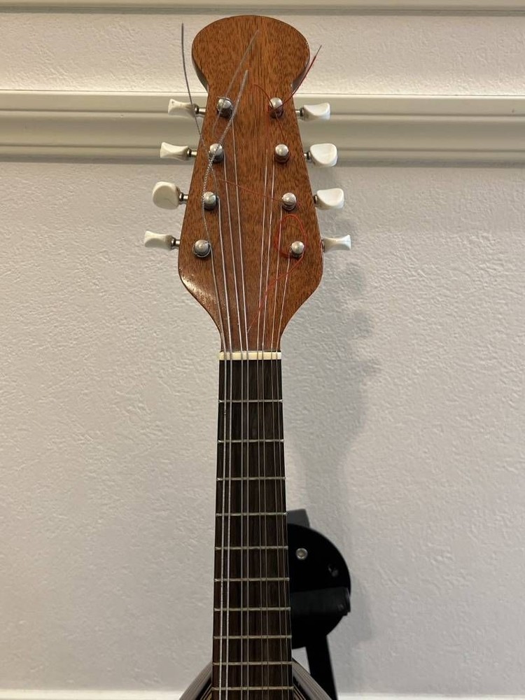 Minoru Noguchi Mandolin String Instrument with Hard Case