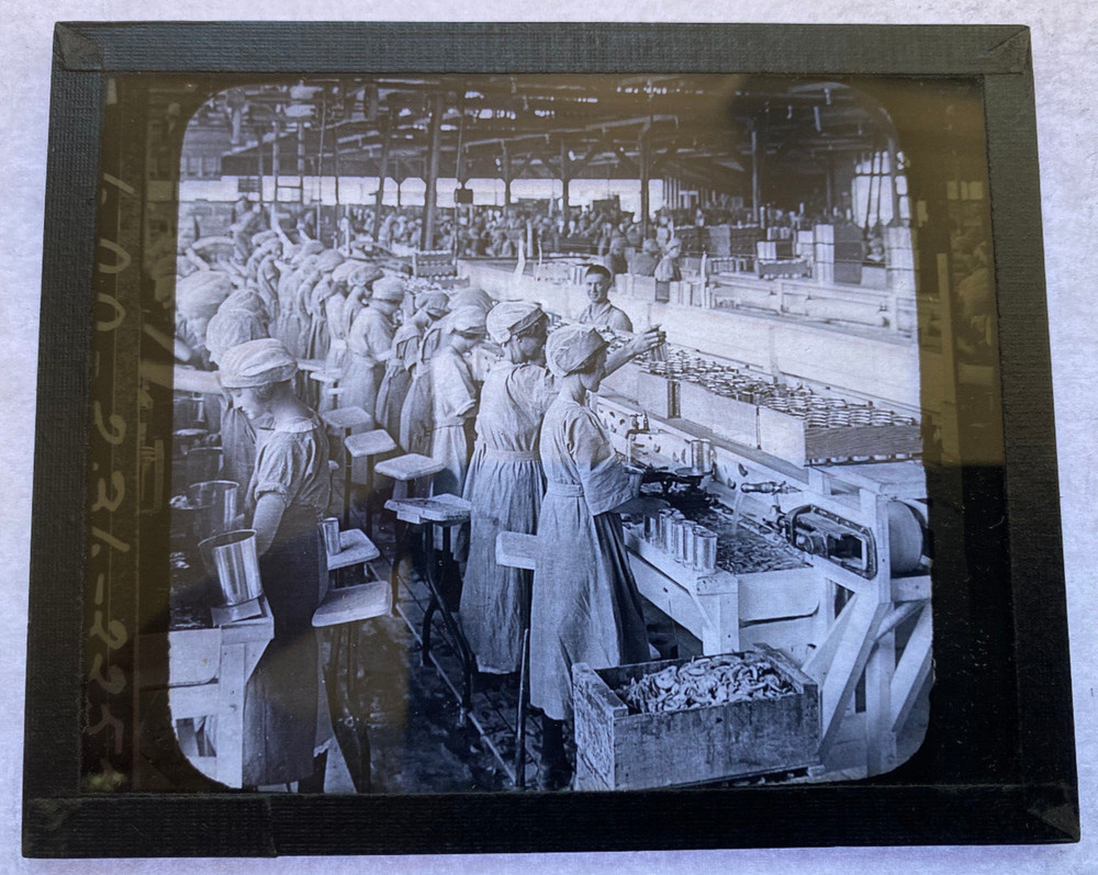 KEYSTONE MAGIC LANTERN SLIDE 236 PEACH CANNERY VISALIA CA 1920s