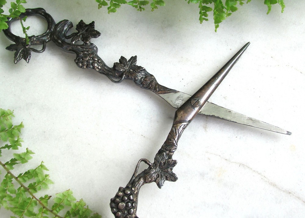 BEAUTIFUL ANTIQUE SILVER GRAPE SHEARS / SCISSORS GRAPE VINE PATTERN