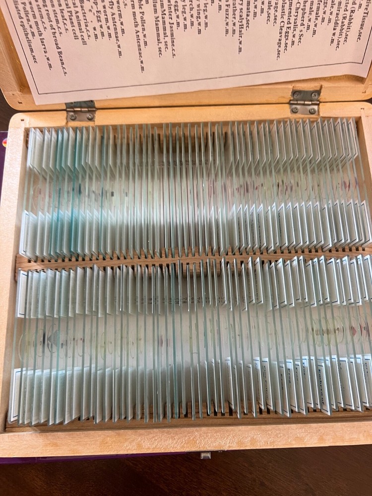 Amscope microscope set