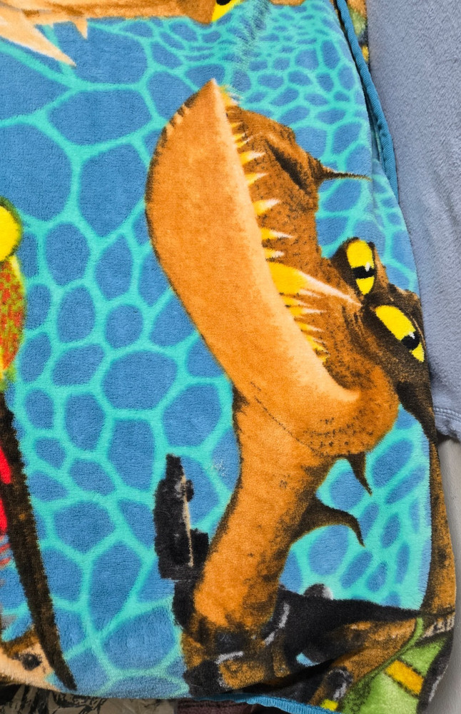How To Train Your Dragon Throw Blanket from Original Release 2010