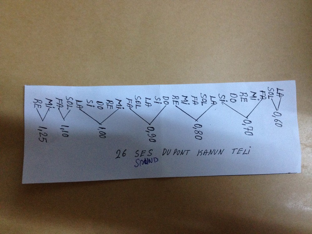 Dupont String Set For Arab Qanun Kanun