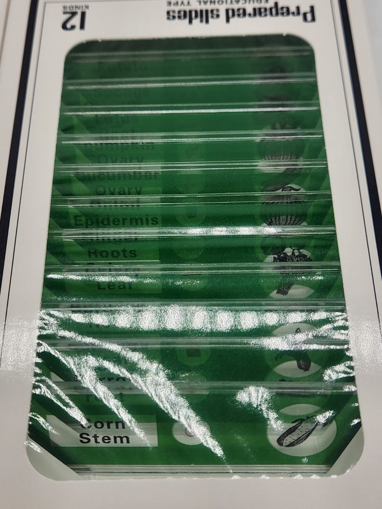 DIY-Science Prepared‎ Slides Educational Type - 48 Plastic Microscope Slides