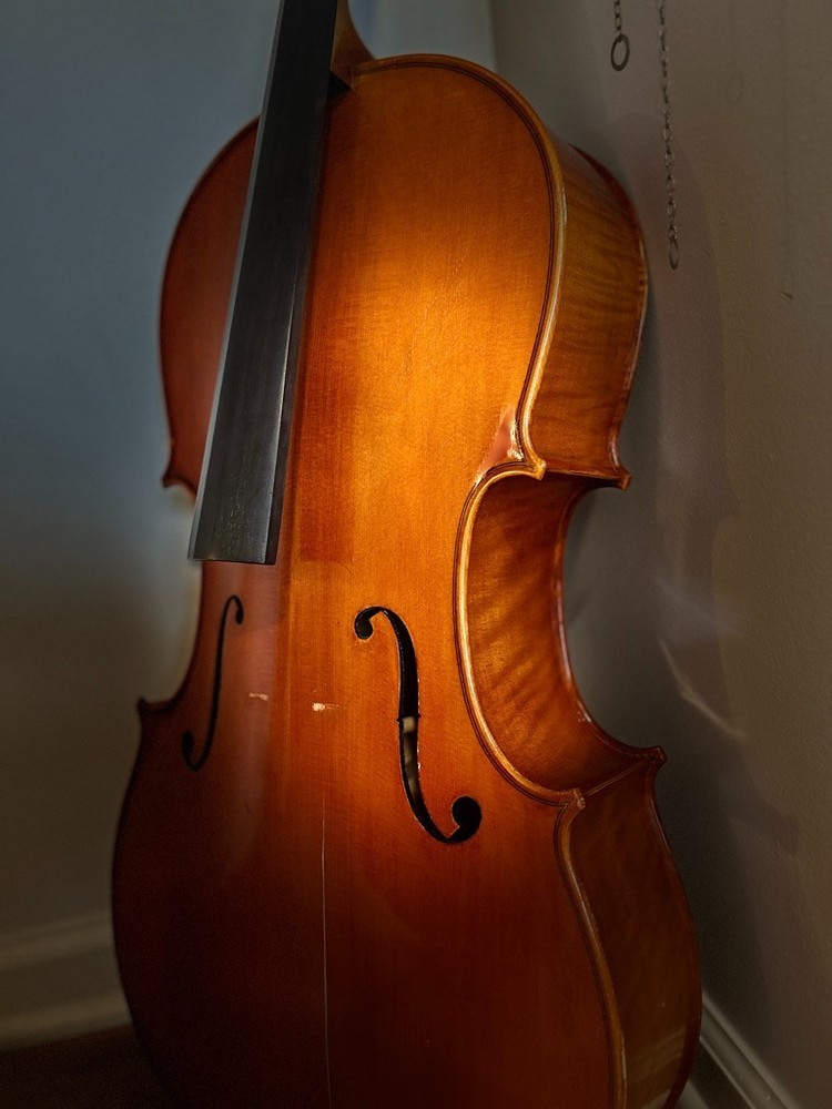eastman cello 3/4