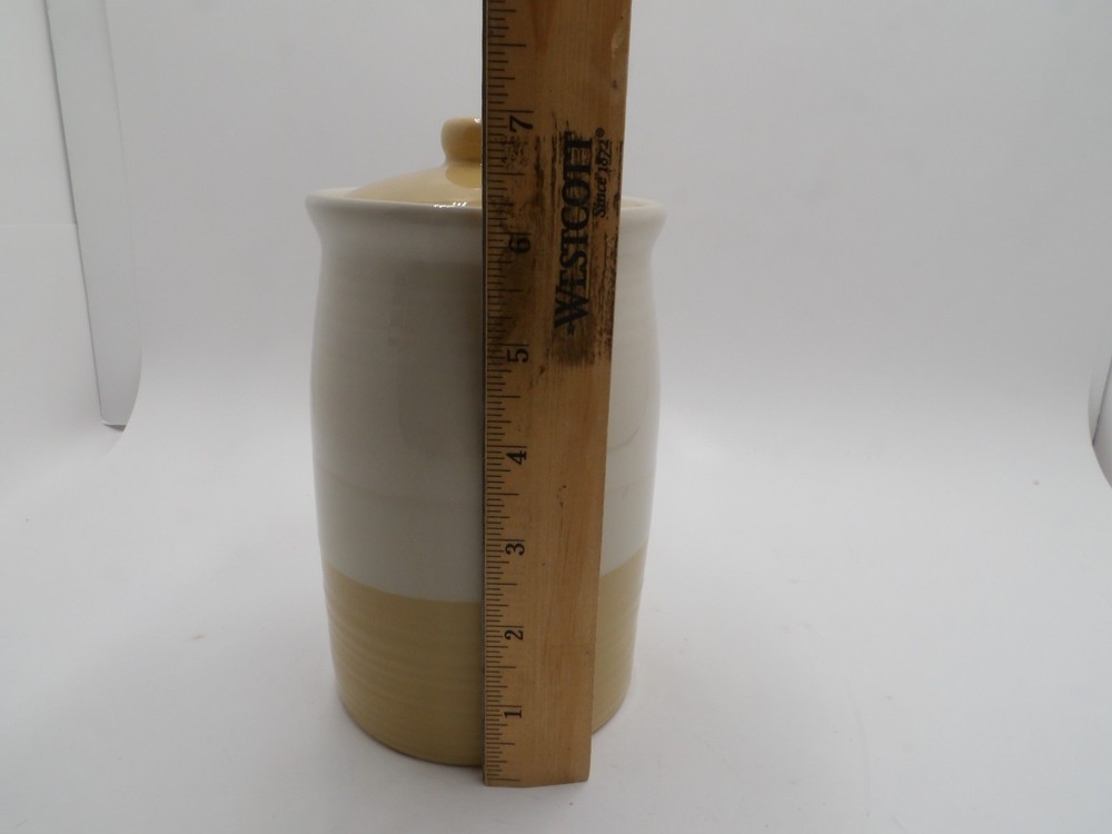 Dragonfly Design Ceramic kitchen Canister Jar