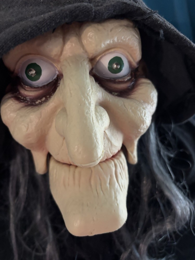 6ft. LED Standing Bobble Head Witch Home Accents In Box