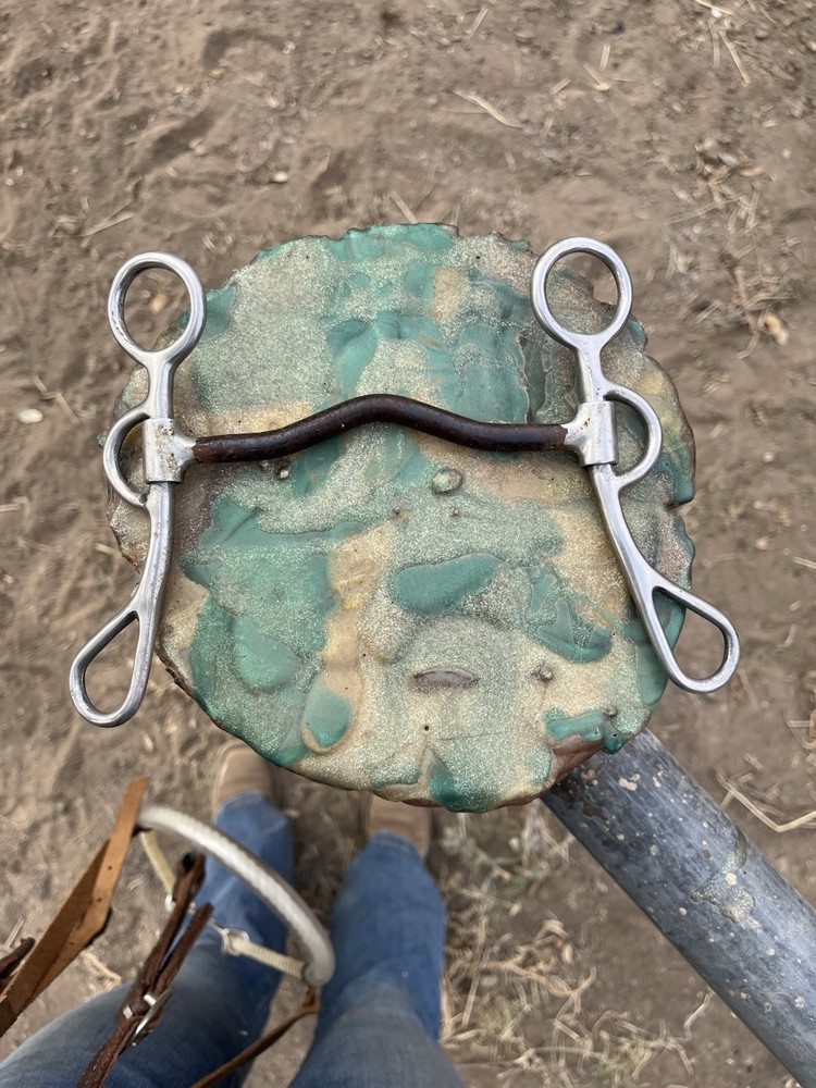 Metal Reining Bit With Slight Curve