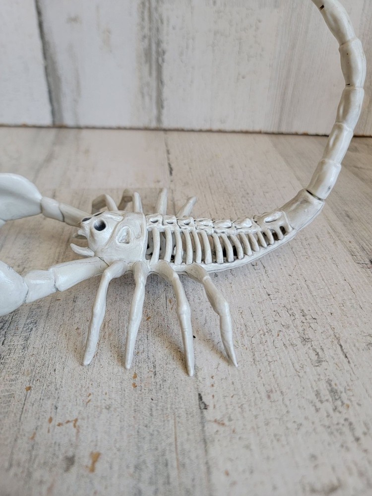 Halloween scorpion seasons bone skeleton prop scary decor