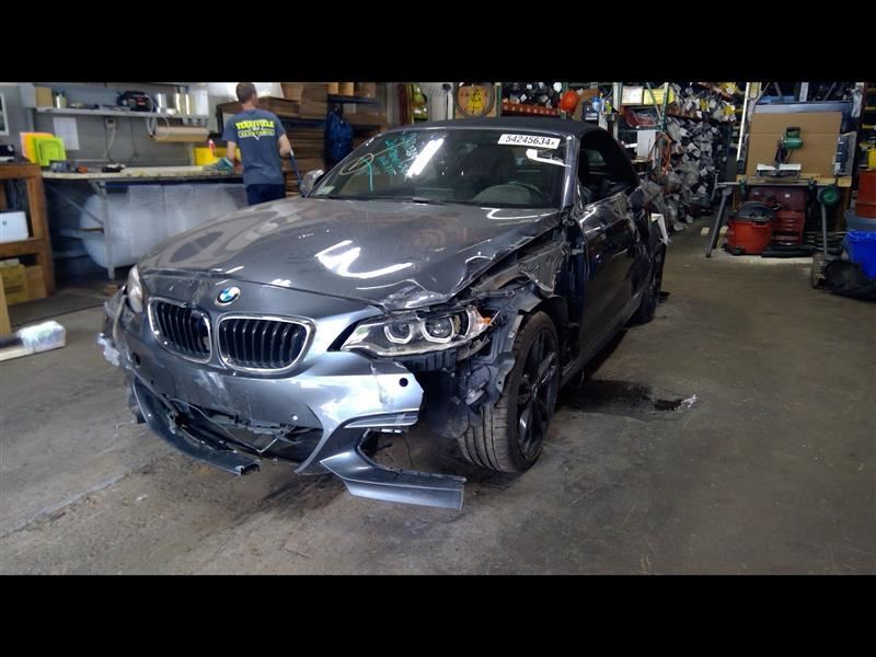 Active Sound Amplifier 2017 BMW M240i 6834089
