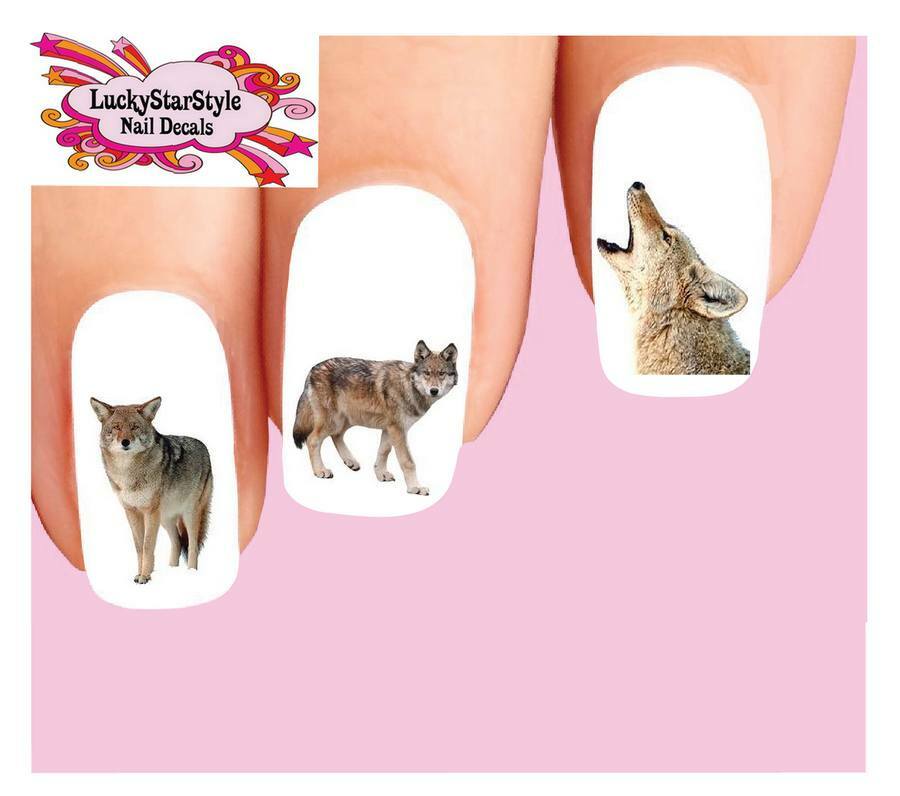 Waterslide Nail Decals Set of 20 - Coyote Assorted