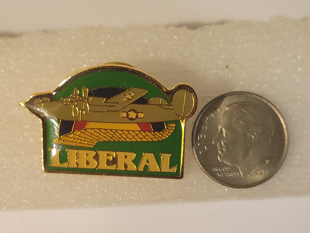 Liberator Fighter Airplane Liberal Pin