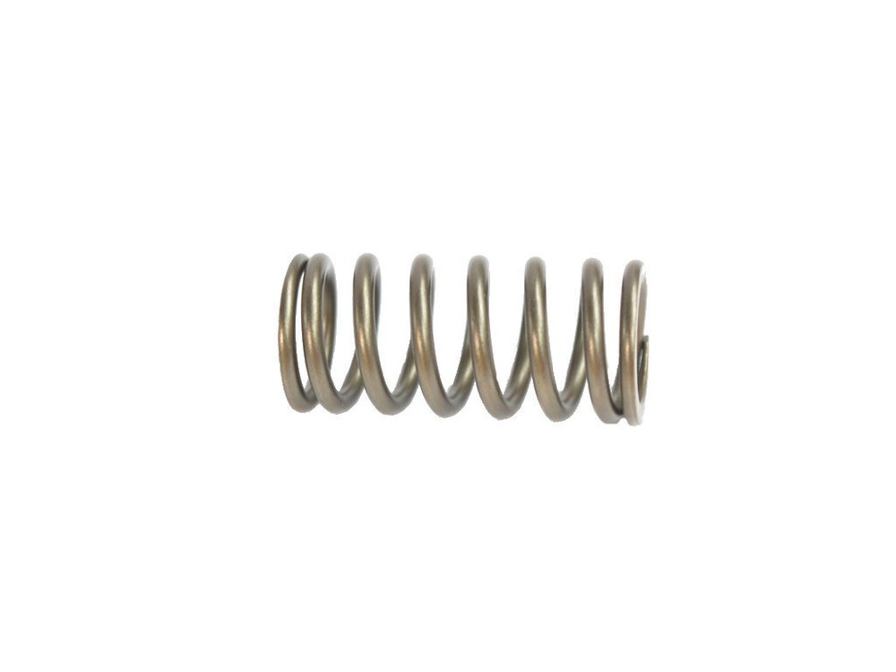 Engine Valve Spring Mopar 68228164AA