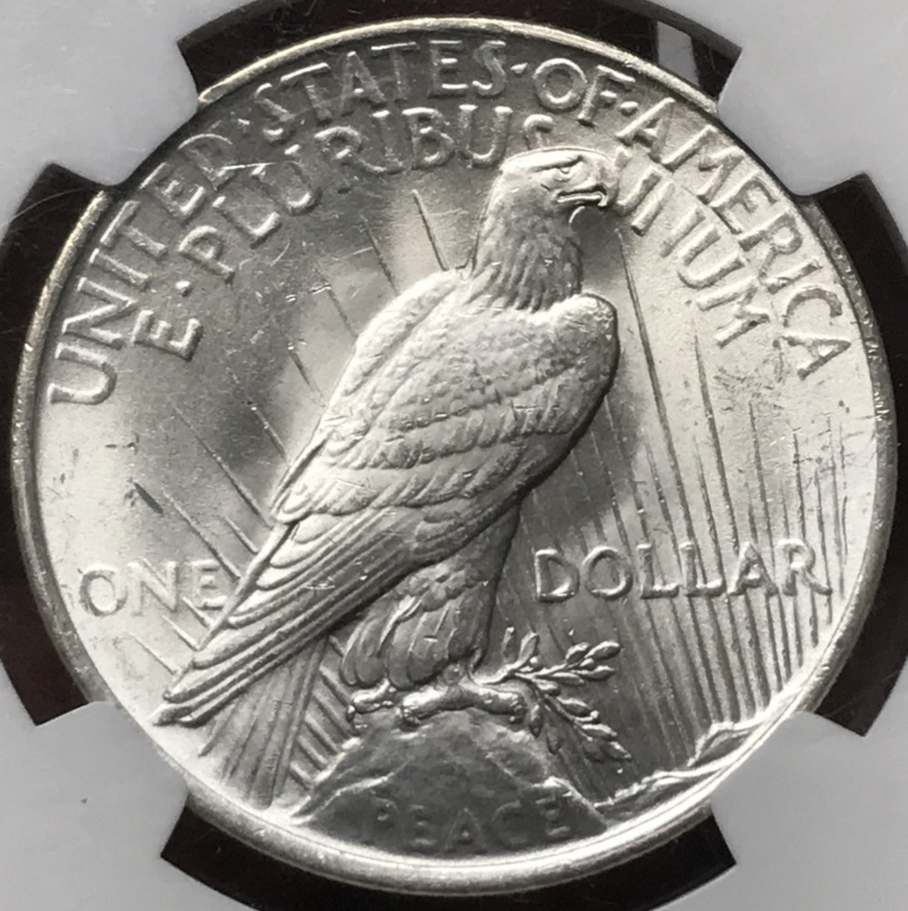1923 $1 Silver Peace Dollar Obverse Struck Thru Mint Error NGC MS63