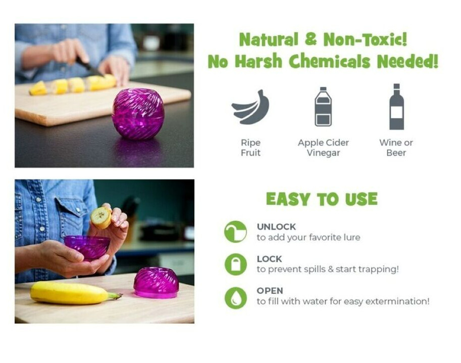 FlyFix Green Fruit Fly Trap - 2 Pack