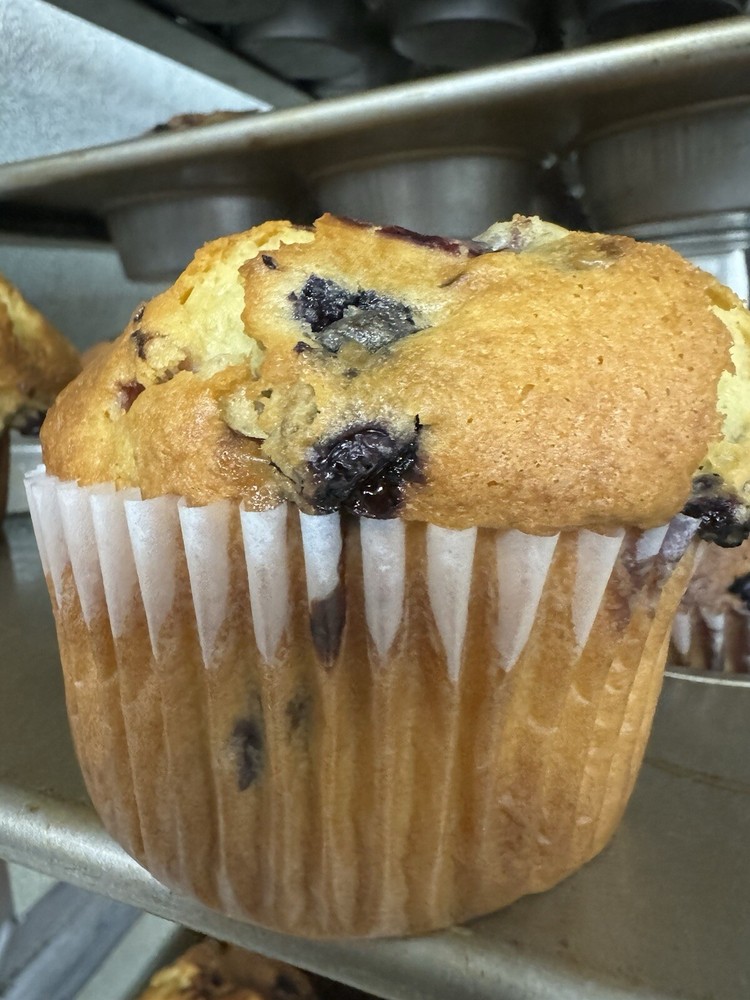 Blueberry Muffins -4 Count Jumbo - Individually Wrapped