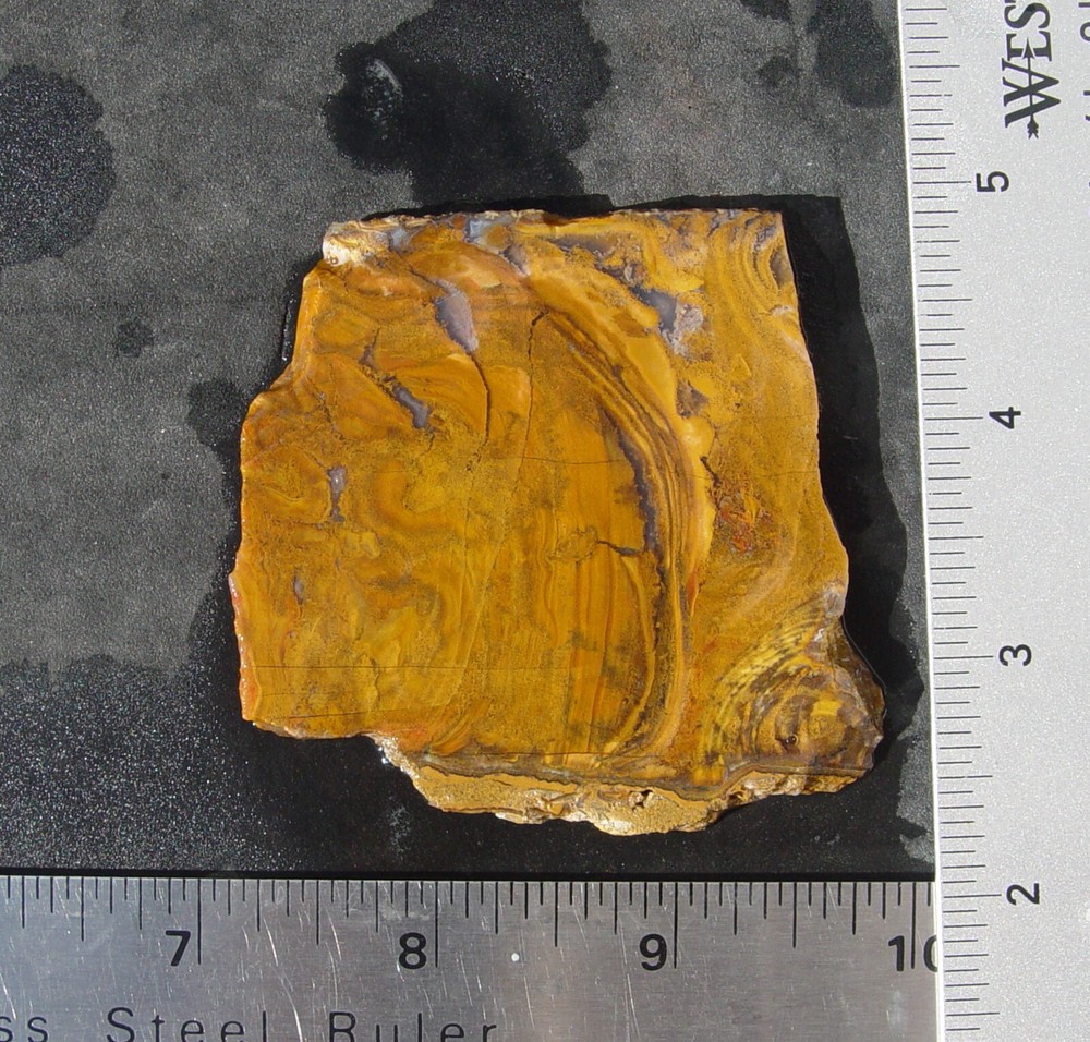 Roostertail Agate   Lapidary Slab                   1342