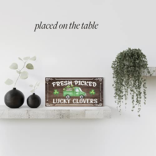 HTBIG Rustic St Patricks Day Decorations Wood Wall Art Wall Hanging Multi728