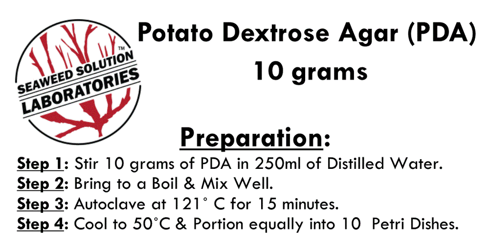 Dehydrated Potato Dextrose Agar Powder (PDA) 10 grams
